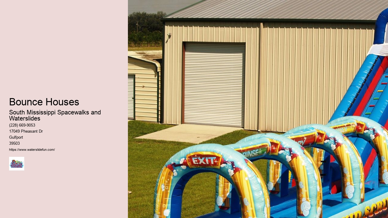Inflatable Water Slide
